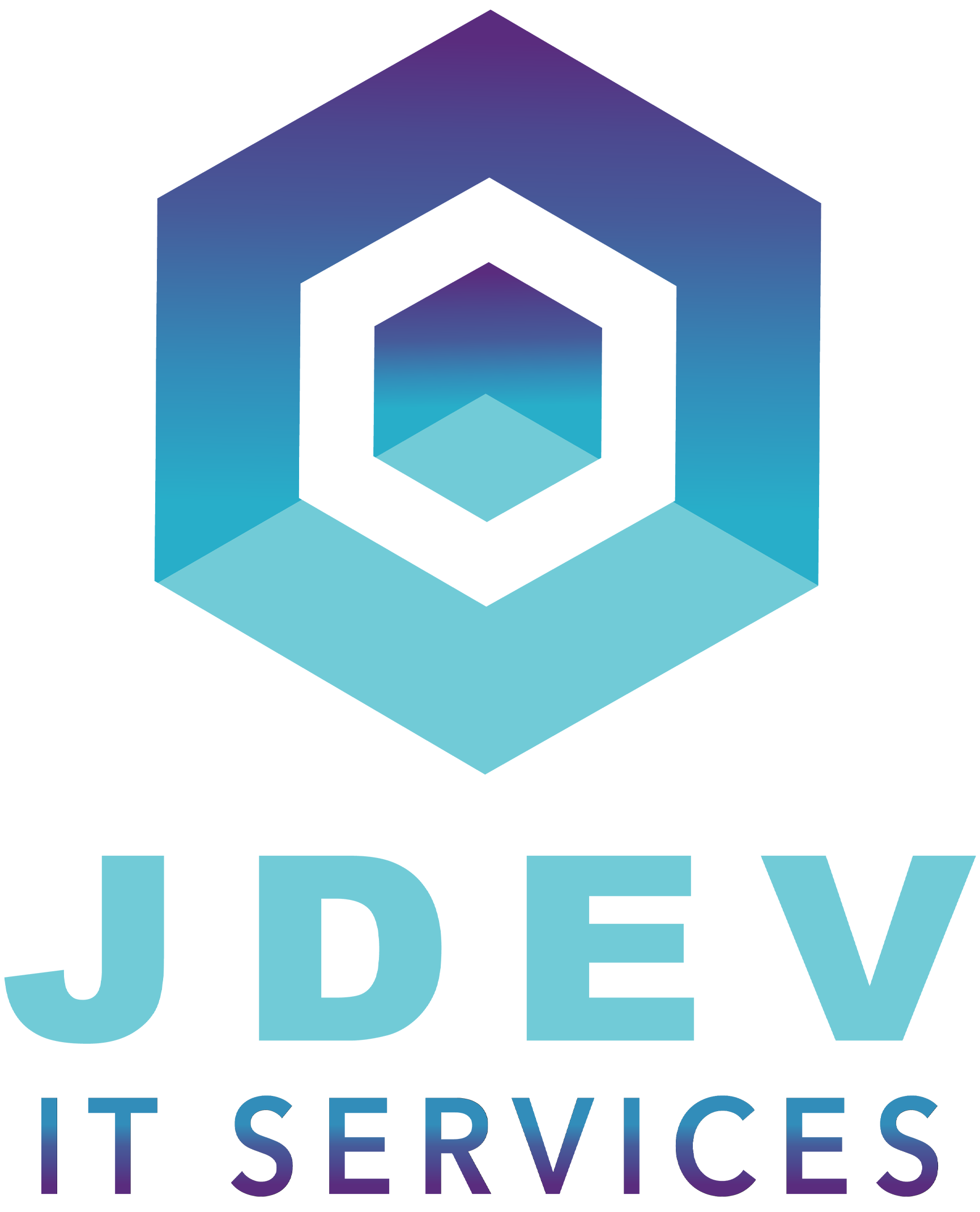 JDev IT Services